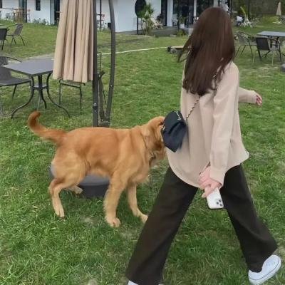 心理罪案